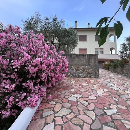 Casa Di Katia Lägenhet Collesalvetti Exteriör bild