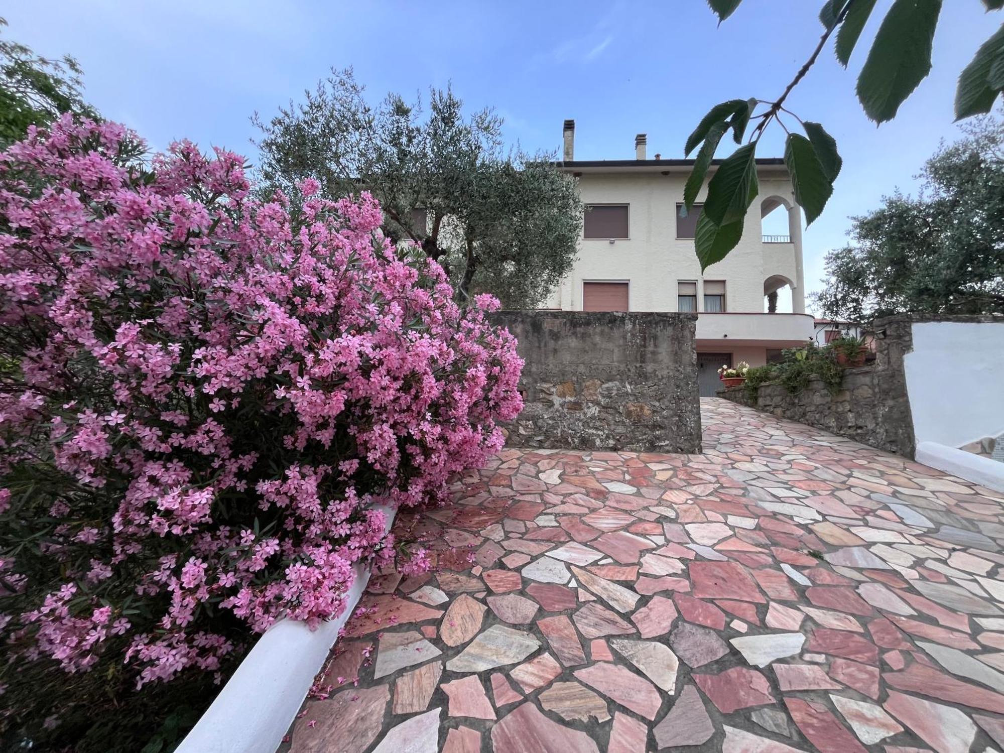 Casa Di Katia Lägenhet Collesalvetti Exteriör bild