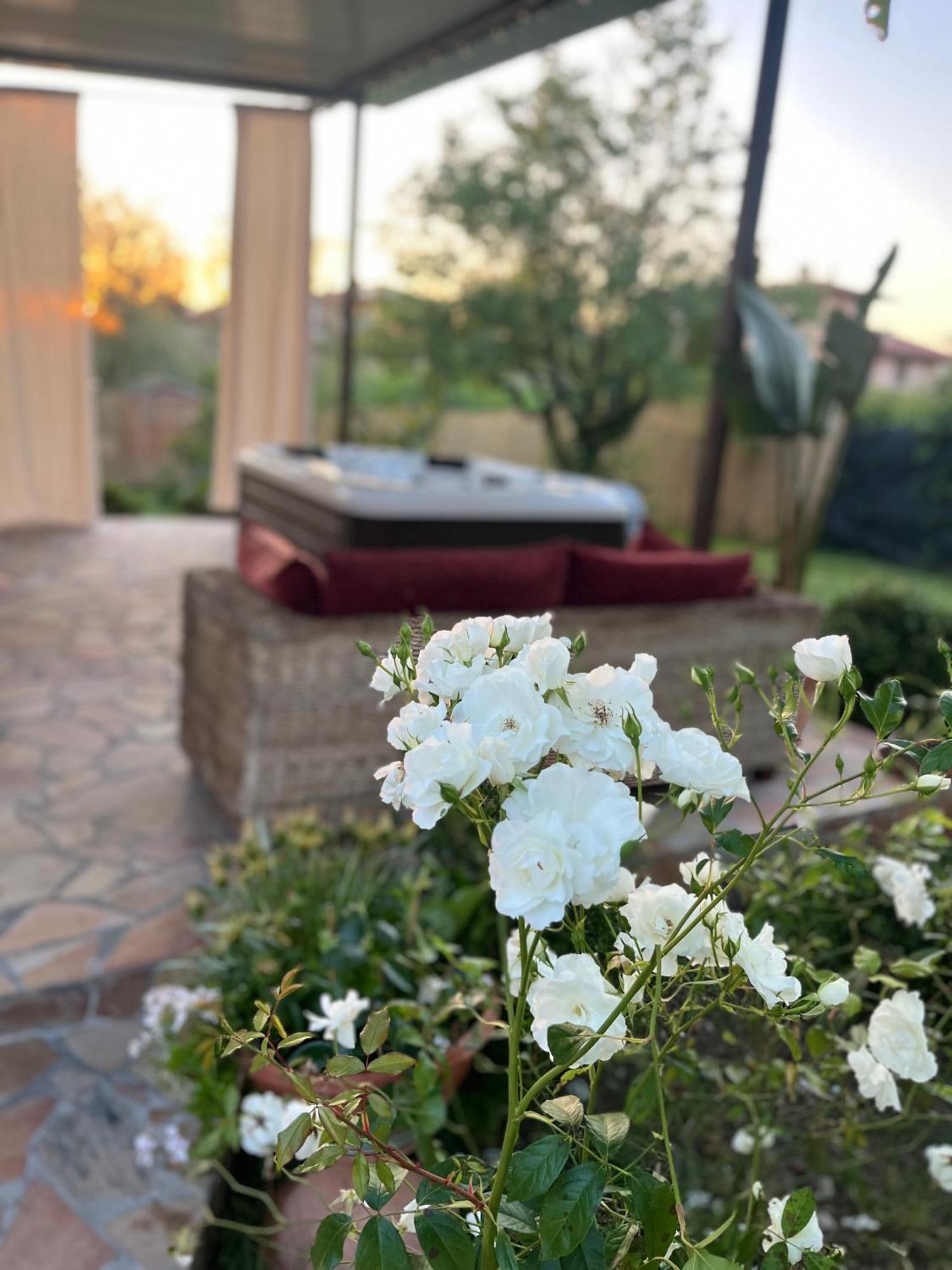 Casa Di Katia Lägenhet Collesalvetti Exteriör bild